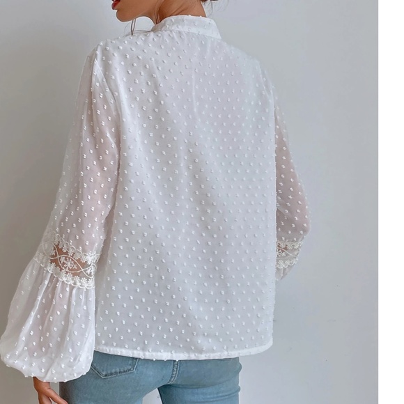 Swiss Dot V neck Tassel Tie Semi Sheer Long sleeve Top - Picture 9 of 11